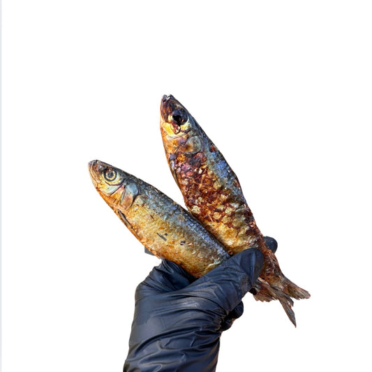 Silly Sardines